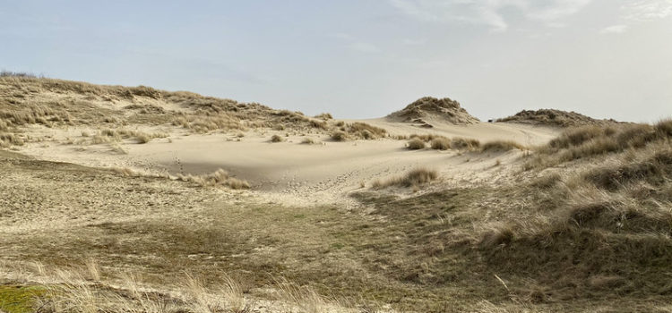 Natuurbeleveniswandeling – waarnemen en bewustzijn van de Natuur Beleveniswandeling(1)