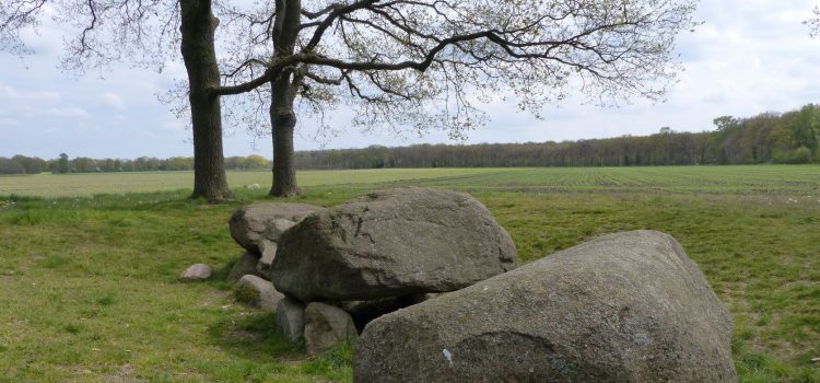 Oeroud web van betekenis Oeroud web van betekenis